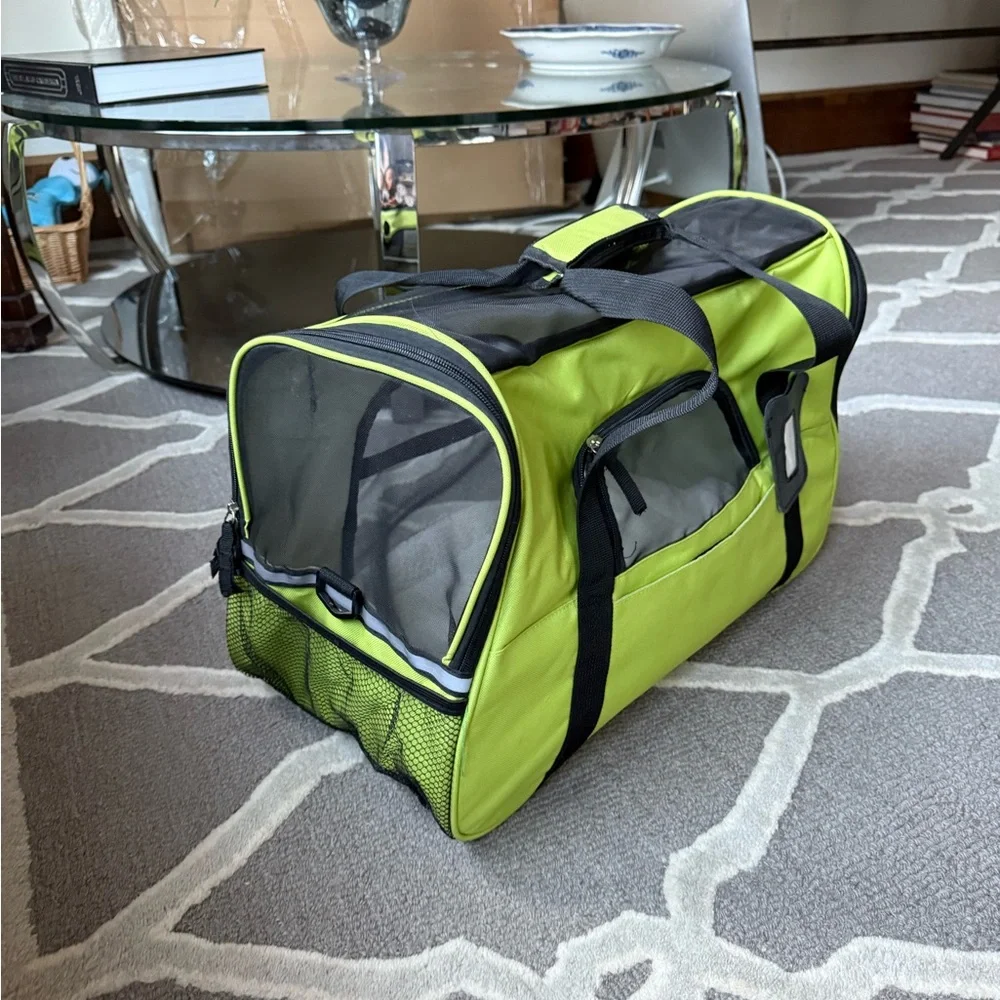 Green Dog Carrier with Mesh Panels